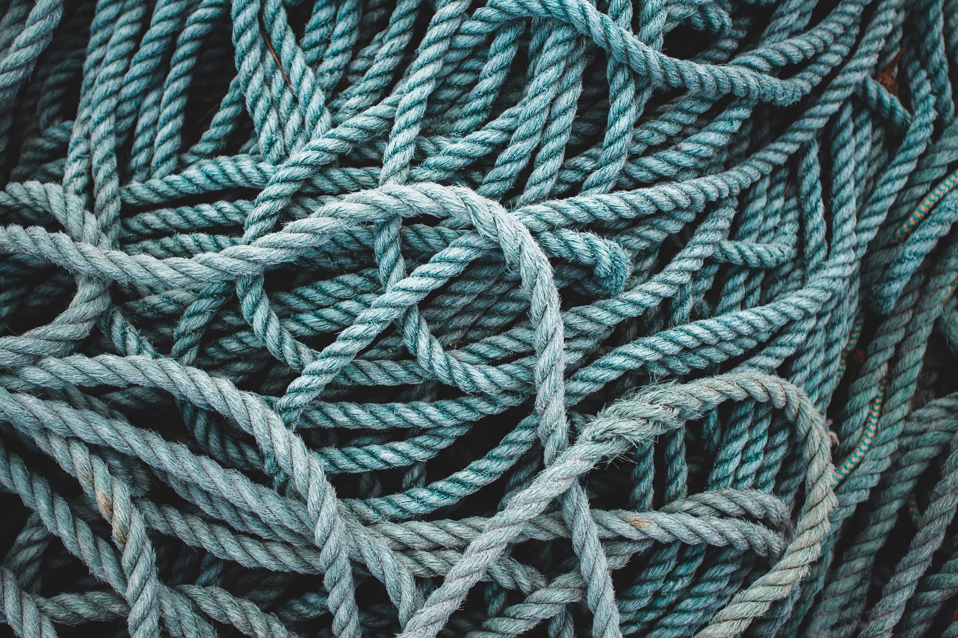 Intricate close-up of tangled blue ropes creating a textured pattern.